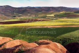 Image du Maroc Professionnelle de  Sur les pentes et collines dans la région de ben Slimane au Nord est de Casablanca, Les agriculteurs (Fellah) pratiquent  une agriculture traditionnelle sur leur lopin de, Mardi 5 Février 2002. (Photo / Abdeljalil Bounhar) 